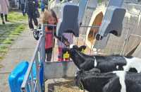 WhatsApp-Image-2025-05-07-at-12.22.361