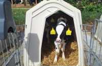 WhatsApp-Image-2025-05-07-at-12.22.362