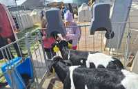 WhatsApp-Image-2025-05-07-at-12.22.363