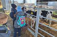 WhatsApp-Image-2025-05-07-at-12.22.37