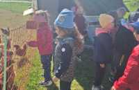 WhatsApp-Image-2025-05-07-at-12.22.46