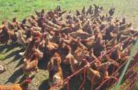 WhatsApp-Image-2025-05-07-at-12.22.471