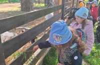 WhatsApp-Image-2025-05-07-at-12.22.51