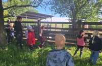 WhatsApp-Image-2025-05-07-at-12.22.511