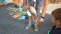 IMG-20210625-WA0013