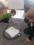 IMG-20250324-WA0044