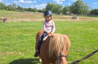 436335925_640281538300384_2829296442922662826_n