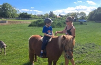 436444220_247545251755238_7223131587744458753_n