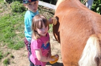 436589498_814839206753577_156421474558335044_n