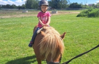 436612799_994214272094378_158674218435847327_n