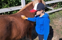 436627682_1135707134430723_8295503812368498059_n