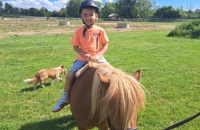 436679840_774808734425751_2035565535693970318_n