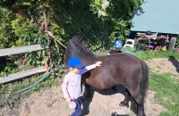 436725478_2764037457084515_6797481338421478007_n