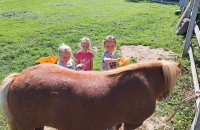 441988678_1219306152373625_6542954204127980429_n