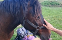 441991883_798525301931099_2671286049694548721_n