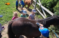 441995838_432246799547759_5190854637114203838_n