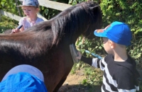 441998742_1814847248997619_227149620538839380_n