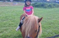 442419549_2340455646160672_2386544474397971849_n