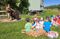 442423482_1107803130513544_6111503370089061165_n