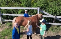 442424335_411035958416825_1043297423237546477_n