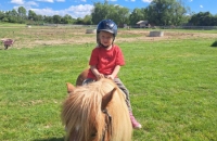 442441965_1924065454712954_5189279724085528860_n