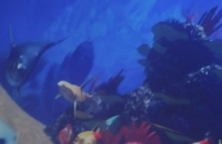 274745090_281190844123949_2311079240241169483_n