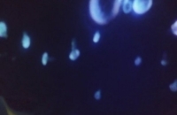 274794243_459465455920491_1702732262745005759_n