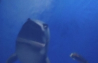 274802520_4749763068478068_6492449478268526017_n