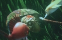 274896554_308675721333814_7348754983680201006_n