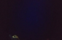 274919016_381897339989973_209798693881371339_n