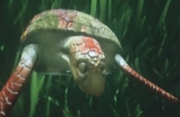 274935999_955232368530544_6879932023687173164_n