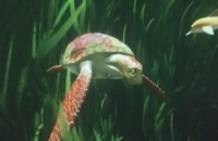 274945175_303338498370721_5601464840200486380_n