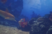 274954494_1581067282278990_8112550902532839459_n