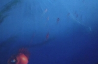 274982709_3064468970546985_920832895618133229_n