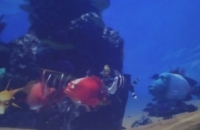 275089707_496543861972534_6052082104224371030_n