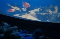 275270783_3477796249026015_1313741112003602398_n