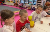 processed-51B3697F-98AF-4F70-9F9B-665E22C58524