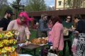 011-DSC_8020