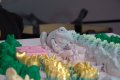 015-DSC_8025