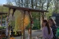 130-DSC_8163