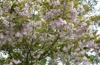 Vylet B+Z 2019 (142)