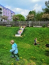 IMG_20190502_115532-001