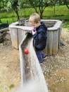 IMG_20190502_115612-001