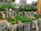 IMG_20190502_124432-001