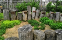 IMG_20190502_124436-001