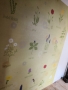 IMG_20190502_095747-001