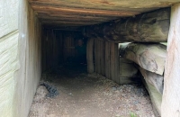 284411008_5114014362023864_1595809025512734065_n