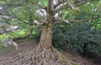 447623660_427238906847289_6463890721475571547_n