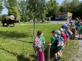 IMG_7577