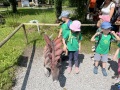 IMG_7629
